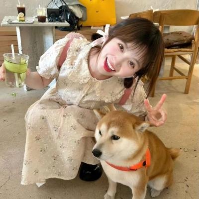 恋爱青春梦